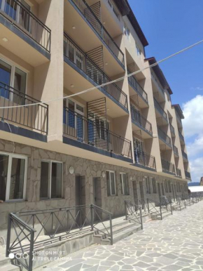 tribu hotel